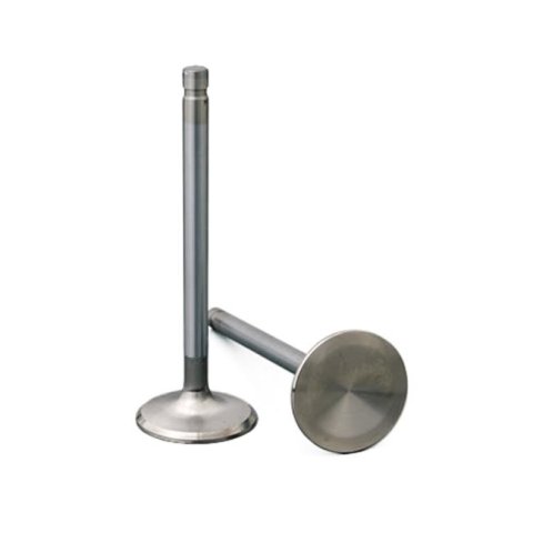 Manley Ford 4.6L DOHC (4 Valve) Triple Groove 38mm Race Master Intake Valves