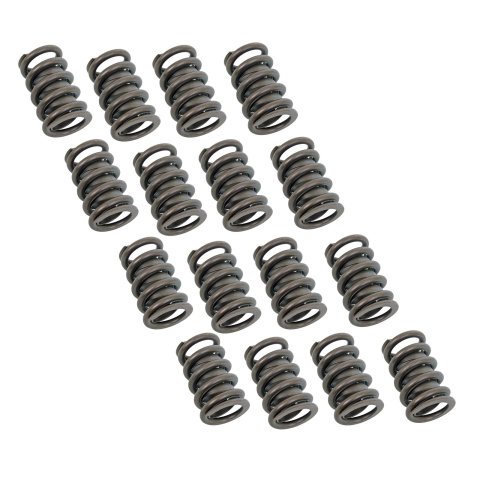 Manley Oval Track Chrome Silicone Outer w/ Damper 16pc Valve Springs 1.250 OD