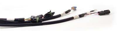 FAST Wiring Harness Main LS1LS2L