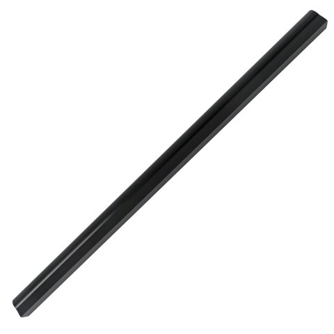 FAST Fuel Rail FAST 24 Inches