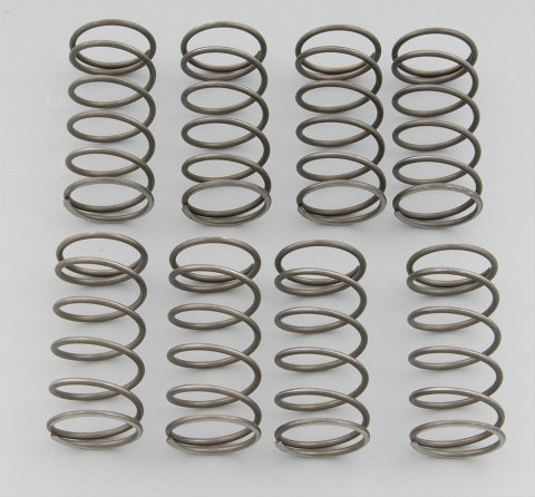 Moroso Valve Checking Springs