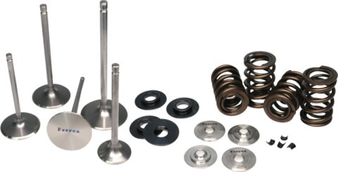 Ferrea Acura K20 Endurance Dual Spring Kit