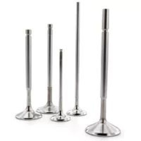 Ferrea 84-04 Harley-Davidson Evolution 2.0202in Head 0.31in Stem Dia Comp Intake Valve - Set of 2