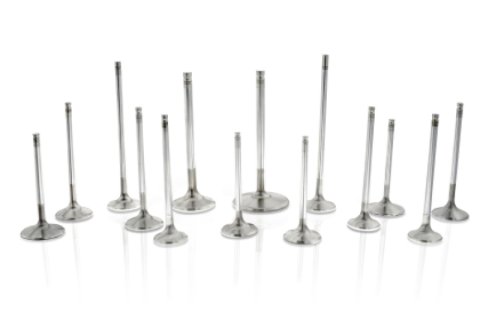 Ferrea Honda L15 VTEC Turbo 29mm Head 5.48mm Stem Dia Comp Plus Intake Valve- Set of 8