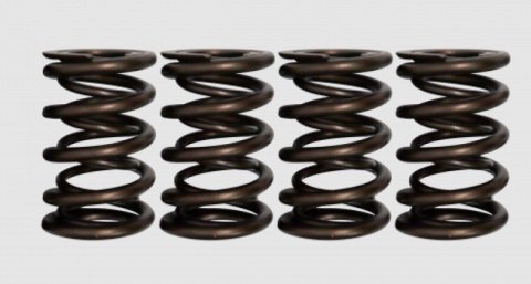 Ferrea 05-12 Can Am 800R Rotax Twin 18.23/25.19mm OD 13.4/18.23mm ID Dual Valve Springs - Set of 4