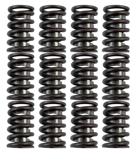 COMP Cams Valve Springs 1.250in Outer W/