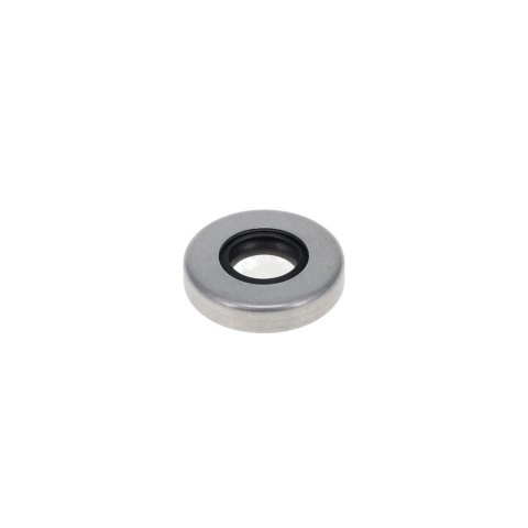 Peterson Fluid Systems Pump Seal Teflon