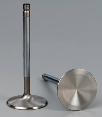 Edelbrock 8 Intake Valves 2 05 77169 77179 77189 77199 Heads