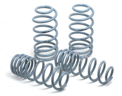 H&R 06-11 Volkswagen Passat 4Motion Sedan OE Sport Spring