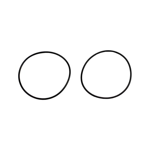 Wehrli LBZ/LMM/LML Duramax Y-Bridge Flange O-Ring Seal (single)