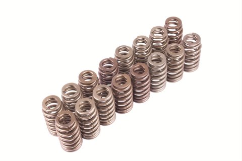 Ford Racing BOSS 302R Valve Spring Kit
