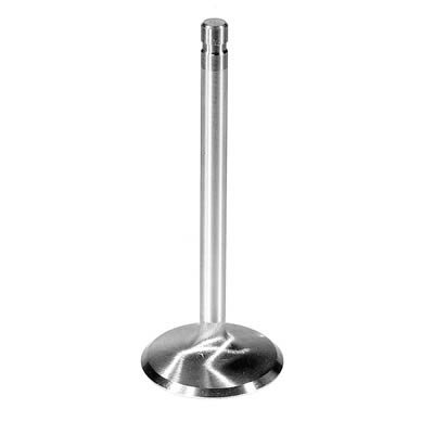 Ford Racing Intake Valve