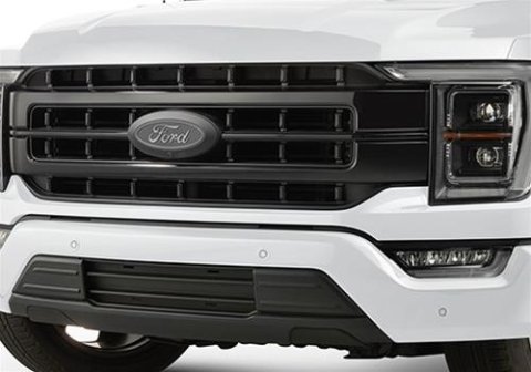 Ford Racing 2021 F-150 Black Painted Grille