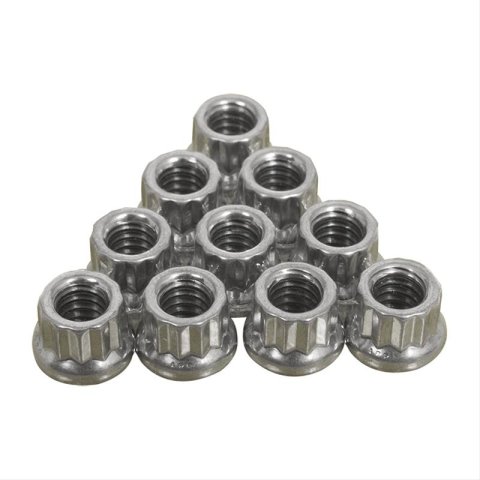 ARP 1/4-20in SS 12pt Nut Kit (10/pkg)