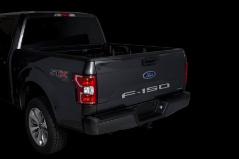 Putco 18-20 Ford F-150 (Cut Letters/Stainless Steel) Tailgate