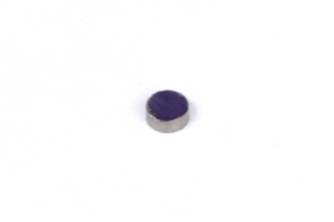Haltech Rare Earth Magnets (5mm Dia x 2mm H)