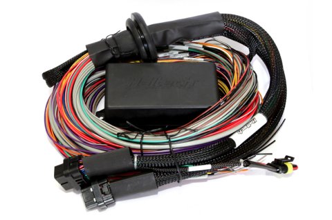 Haltech Elite 2500/2500 T Premium Universal Wire-In Harness - 2.5m (8ft)