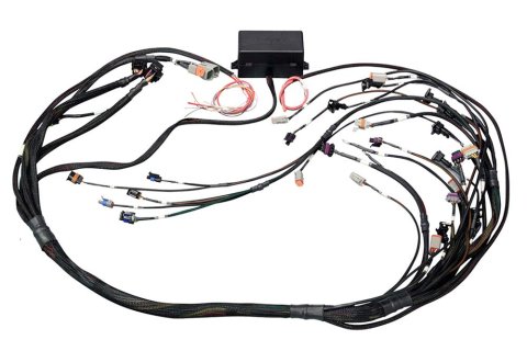 Haltech Elite 2000/2500 GM Gen III LS1/LS6 Non-DBW Terminated Harness HT-141360 Wiring Harness, LS1/LS6, Harness, Each