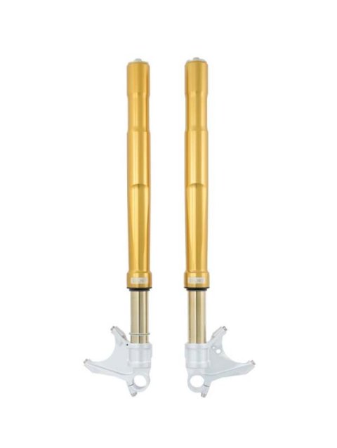 Ohlins 12-19 Honda CBR1000RR FGRT 200 Fork