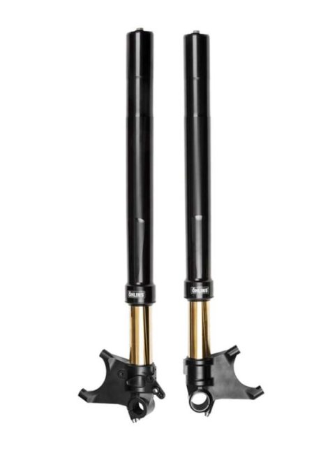 Ohlins 11-18 Ducati Diavel Custom 48 Blackline Fork