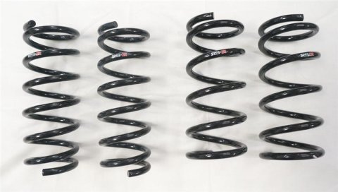 RS-R 03-09 Nissan 350Z (Z33) Down Sus Springs