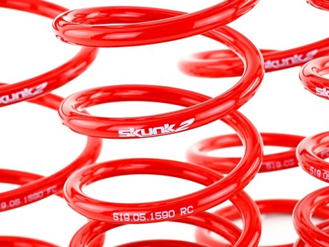 Skunk2 07-12 Honda Civic Type-R (FN2) Lowering Springs (Set of 4)