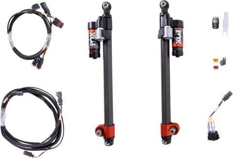 Fox Polaris AM 2024 Pro R QSE Links - Rear