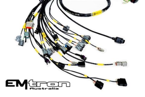 Rywire Honda K-Series (w/Emtron KV8 ECU) Engine Harness w/Chassis Specific Adapter (1x rywRY-B-SUB-EF-DX-EARLY, 1x rywRY-K2-EMTRON-KV8)