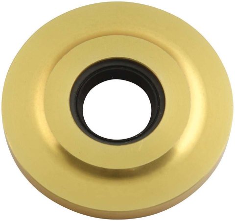 Allstar Performance Timing Cover Replacement Components ALL90086 Cam Seal Plate, 2.253 in, Gold, Rodeck Blocks, 1.875 in Roller Cam Bearing, Each