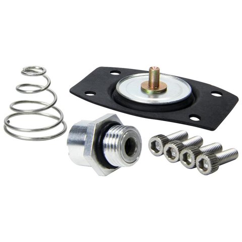 Allstar Performance Fuel Pressure Regulator Rebuild Kits ALL99430 Kit, Kit for ALL40290