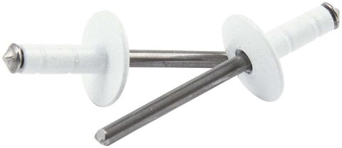 Allstar Performance Multi-Grip Rivets ALL18096 Rivets, Blind Rivets, Multi-Grip, 3/16 in. Rivet, 9/16 in. Head, Aluminum/Steel, White, Set of 250