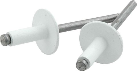 Allstar Performance Large Head Rivets ALL18156 Rivets, Blind Rivets, 3/16 in. Rivet, 9/16 in. Head, Aluminum/Steel, White, Set of 250