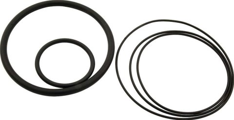 Allstar Performance Coilover Components ALL64222 O-Ring Kit for Hydraulic Adjusters, Kit