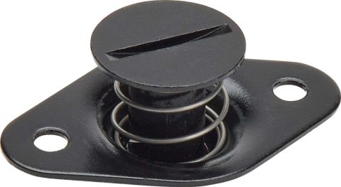Allstar Performance Bolts and Screws ALL19098 Large Head S/E Fasteners .500 in Long