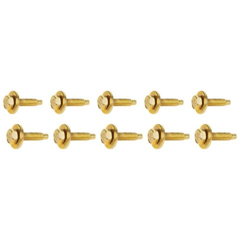Allstar Performance Body Bolts ALL16554 Fasteners, Bolts, Hex Head, 1/4 in.-20 Thread Size, 1.125 in. Length, Steel, Gold Iridited, Set of 10