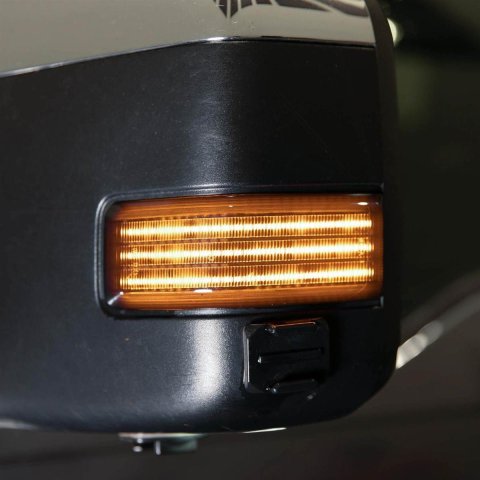 Diode Dynamics LED Accent Lights FL0036 2017 F-250 Mirror (pair)