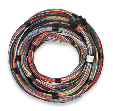 Holley EFI Unterminated Main Harnesses 558-126 Wiring Harnesses, EFI, Harness, Unterminated, Flying Lead, 15 ft. Long, J1A/J1B Connectors, Plug Seals Included, Universal, Each
