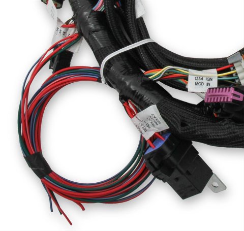Holley EFI Systems Main Wiring Harnesses 558-110 Harnesses, EFI, Coyote, with TI-VCT/Stock Coils, Harness, MPFI, for HP, Dominator, Systems, Ford, 5.0L, Each