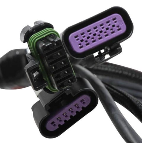 Holley EFI Terminator Stealth Main Wiring Harnesses 558-121 Fuel Injection System Harnesses, EFI, 2x4, Upgrade Harness, Plug-and-Play, Universal, Kit