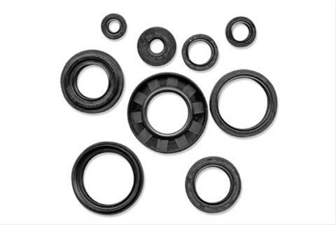Quadboss Oil Seals 564151 QB OIL SEAL SET