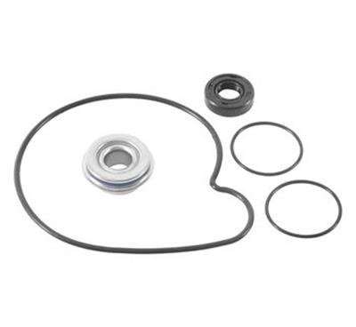 Quadboss Powersports Water Pump Rebuild Kits 565299 QuadBoss 16-19 Polaris ACE 900 SP/XC Kit