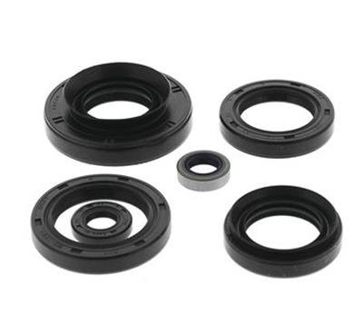 Quadboss Powersports Gasket Kits 564210 OIL SEAL SET