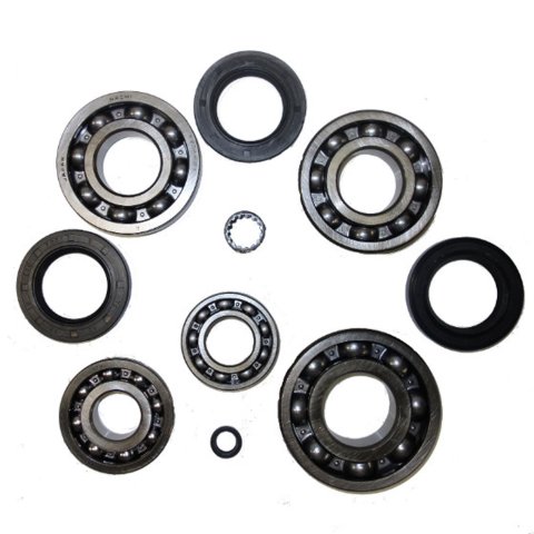 USA Standard Gear - Transfer Case Rebuild Kits for 1981-1986 720 ZTBK206 Bearing and Seal Overhaul Kit, Bearing and Seal Overhaul Kit