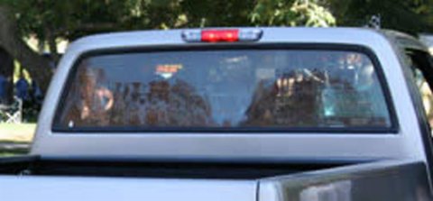 Brothers Trucks Rear Window Glass RGR87LGCLEAR Windows, Individual, Rear, Cab, Glass, Clear Non-tinted, Original Thickness, 2-Door Standard Cabs, 73-87, Chevrolet, GMC, Each