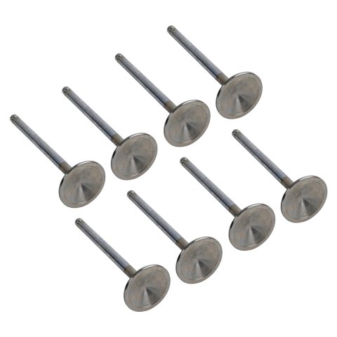 Manley Race Master Valves 11629-1 VALVE SET