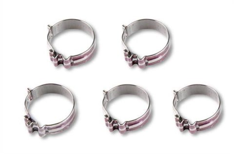 Earl's Performance Super Stock Hose Clamps 818406ERL Clamps, Stock, -6 AN, Stainless Steel, Set of 5
