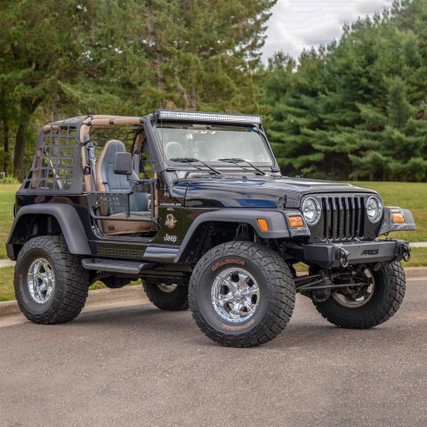 ARIES Automotive - Doors for 1997-2006 WRANGLER 1500100 Tube Doors, 1997 2006 Jeep Wrangler