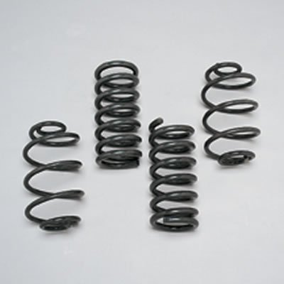 ST Suspensions Sport Springs 60090 Lowering Springs, Front and Rear, Black Powdercoated, Ford, Mercury, Set of 4