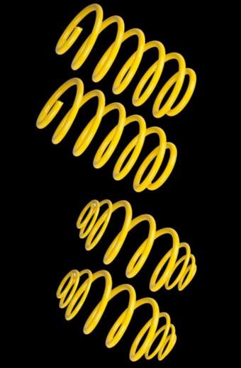 ST Suspensions Coil Springs 68540 Lowering Springs, Muscle Car, Heavy Duty, Stock Height