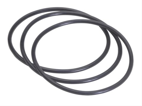 Trans-Dapt Performance Products Water Neck Replacement Components 9243 O-Ring for # 9228-9229-9230-9468-9469-9470-9647-9657